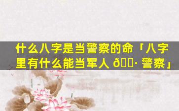 什么八字是当警察的命「八字里有什么能当军人 🕷 警察」